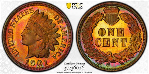 1901 Indian Cent PR66+RB PCGS CAC  Gorgeous Toning!