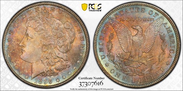 1899 Morgan Dollar MS66+ PCGS CAC Gloriously Toned P-Mint