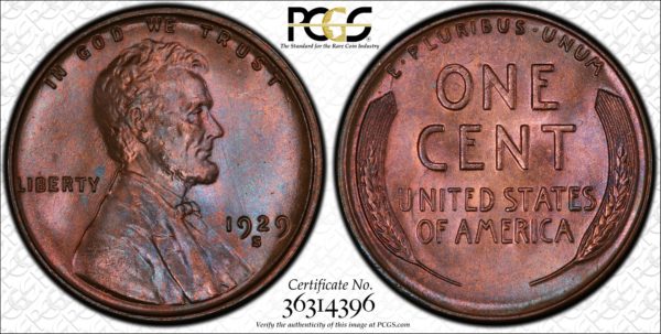1929-S Cent MS65BN Pop 5/0, Great Color, Ex: 'Abe's Coloring Book'