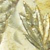 1882-CC Morgan Dollar VAM-2C MS64DMPL, Nice Hit List 40 DMPL Color Coin