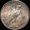 1921 Peace Dollar MS63 PCGS 'Rose Relief'