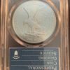 2021 Type 2 American Silver Eagle MS70 PCGS Retro OGH Holder